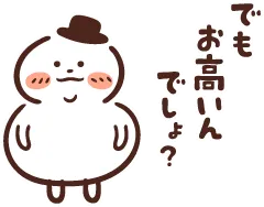 けどお高いんでしょう?