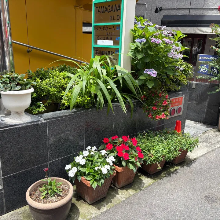 外から見た医院についてご紹介!神戸元町 玉川歯科医院です🙂